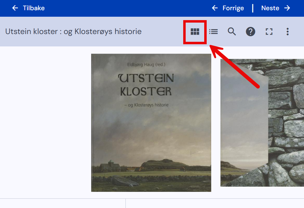 Rutenettikon for å åpne Visning. Skjermdump.
